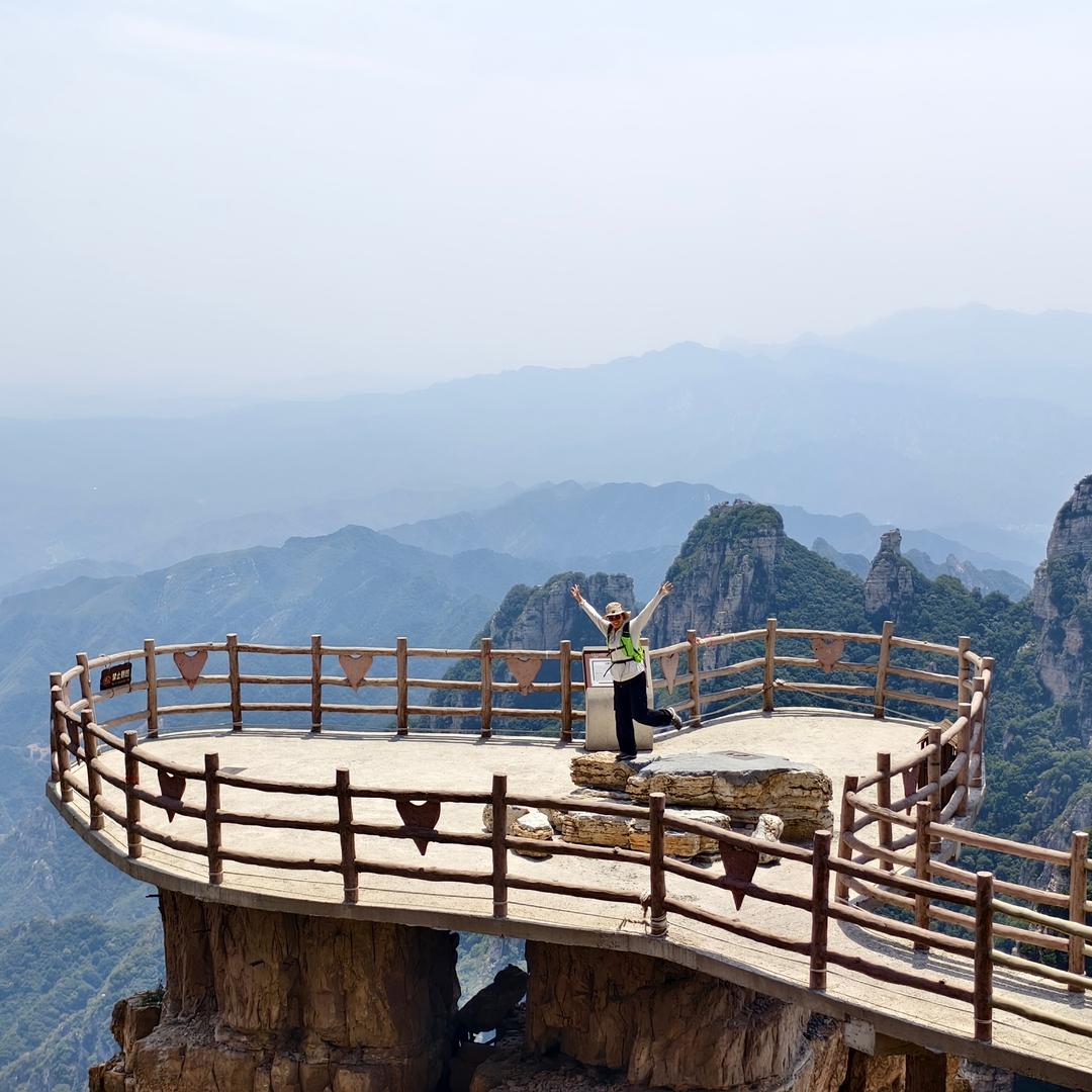 攀山鼠阁阁