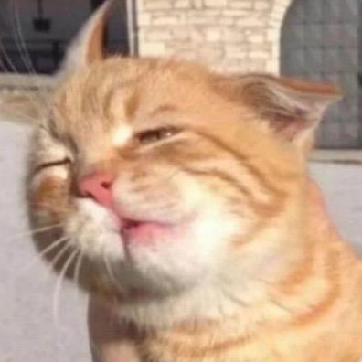 半夜去喂猪
