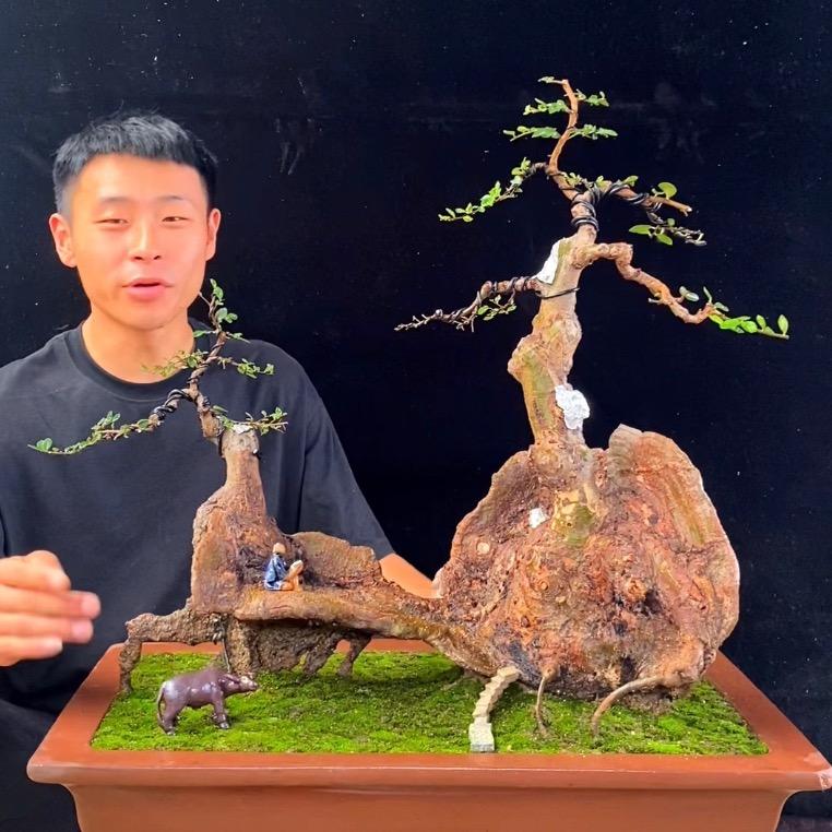 XiaoQi154627993
