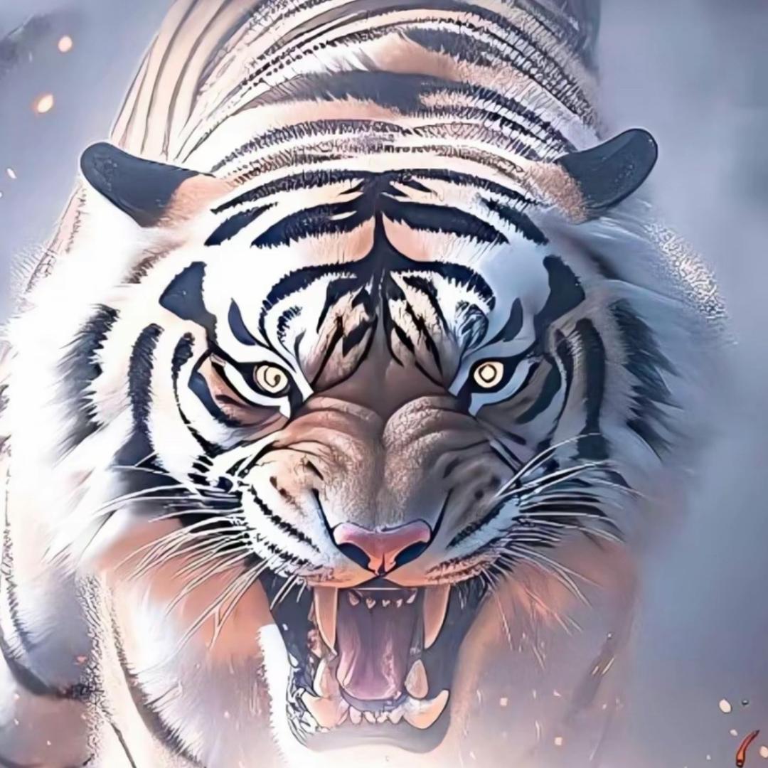 潇洒公子🐯🐯🐯🐯🐯🐯