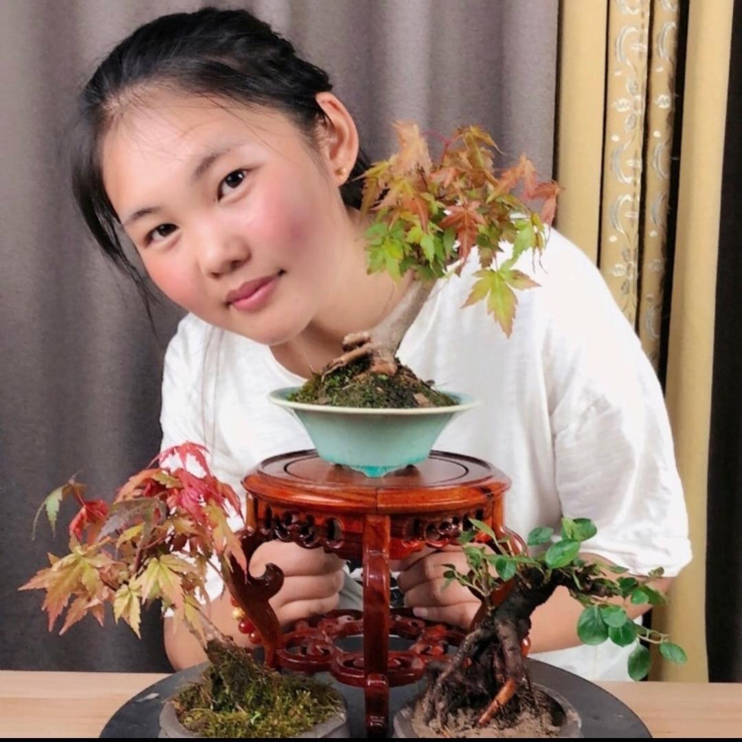 妙花苑