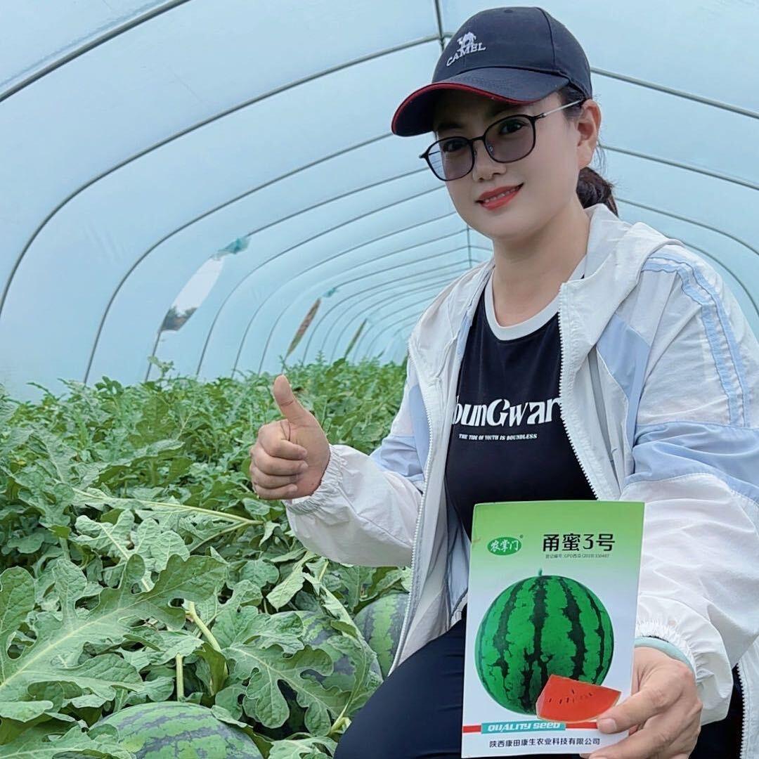 农掌门总经理徐慧