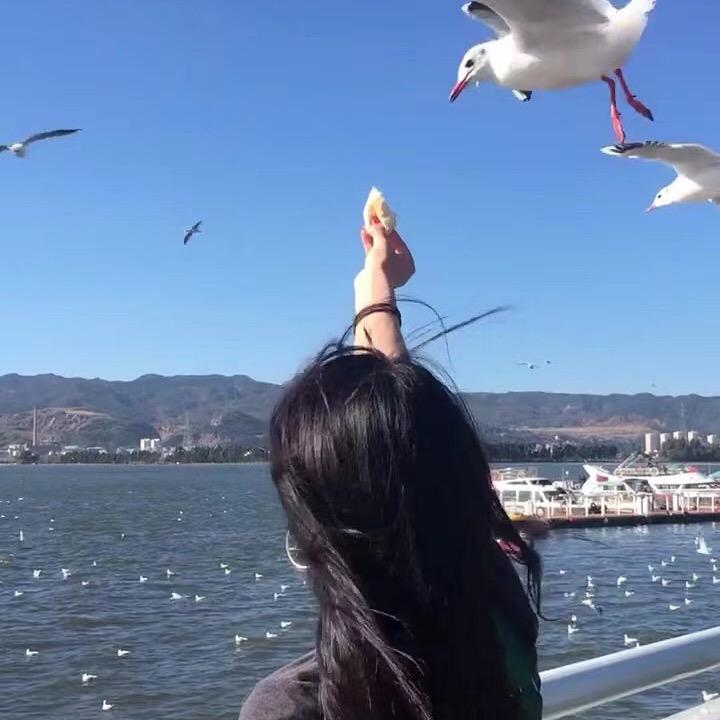 阿零好物