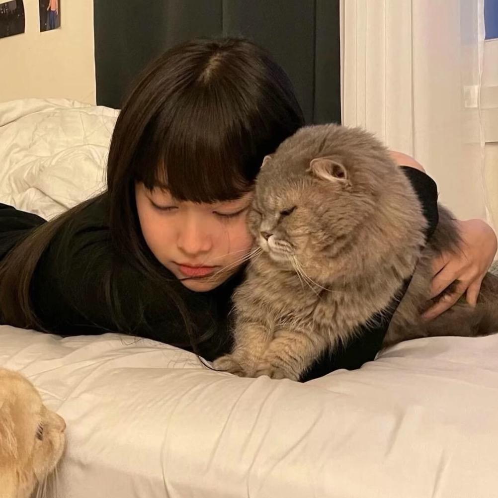 看镜头