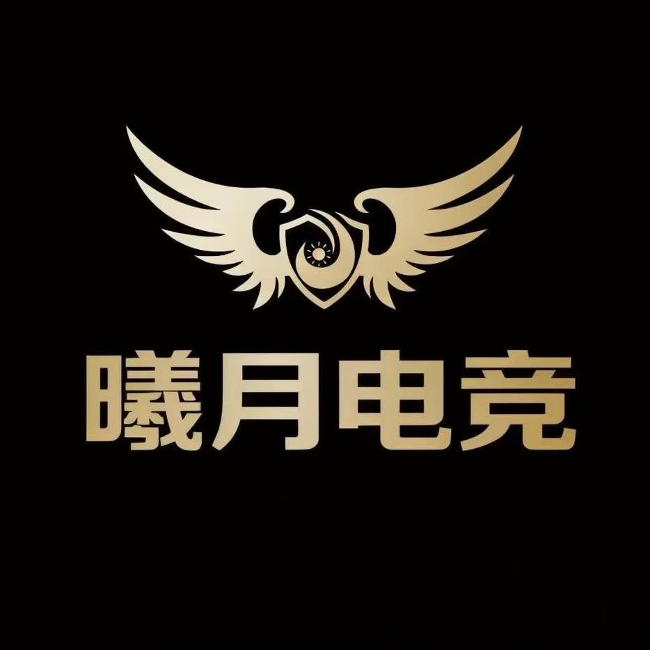 三角洲.曦月电竞