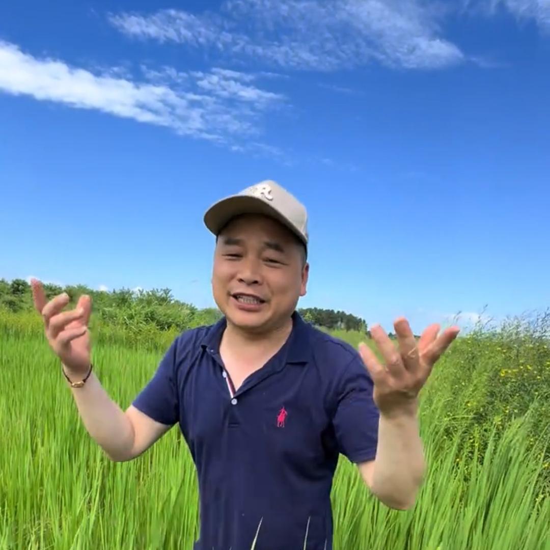 杨房  徐公子