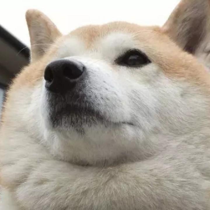 大圆🌟