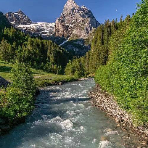 👄愤怒的虎子🫦