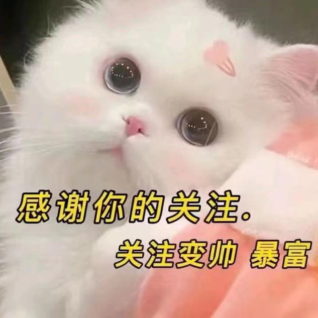 慧姐爱吃糖