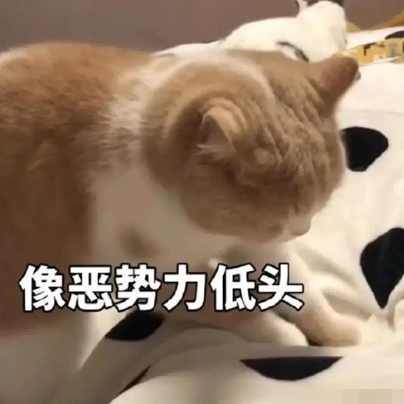 记得吃饭