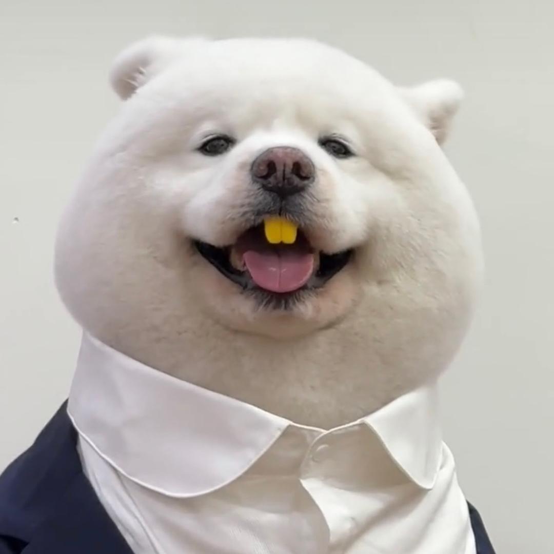 章鱼哥