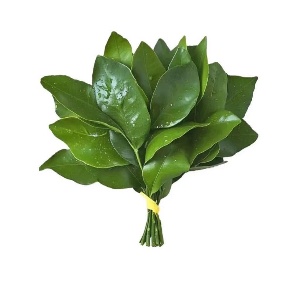 努力成为富婆中～