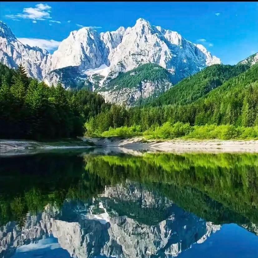 无忧驾考-立立老师