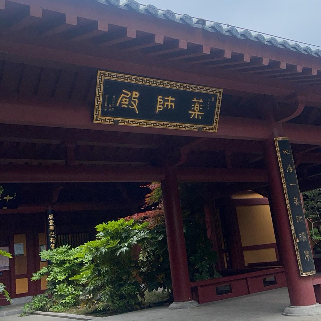 @打不死的小强🪳