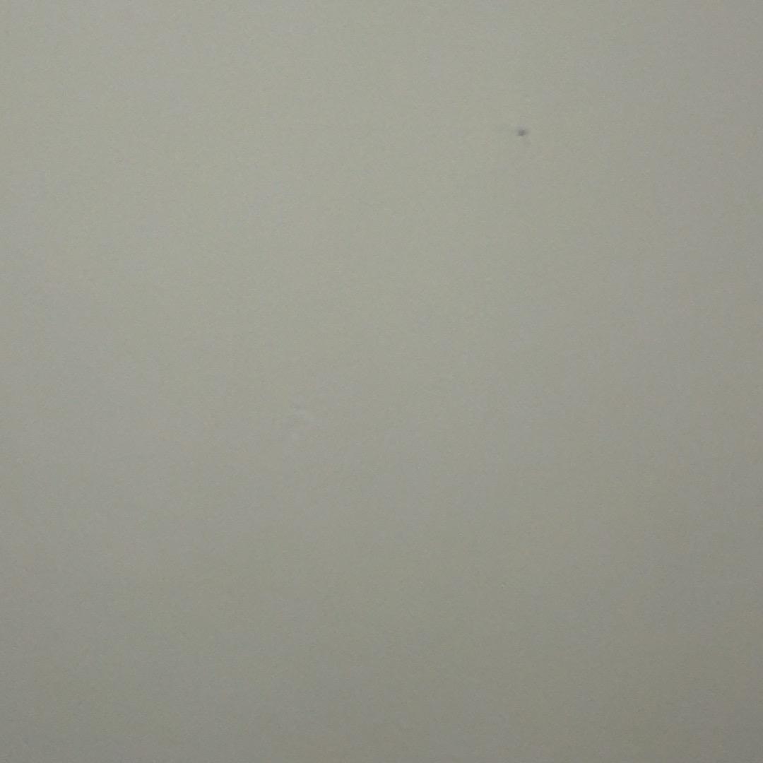 看懒羊羊跑步