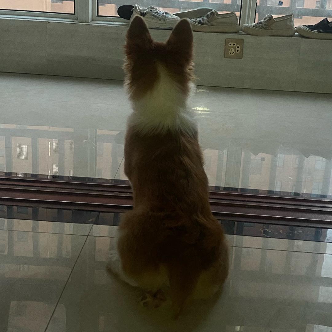 橙子有点甜