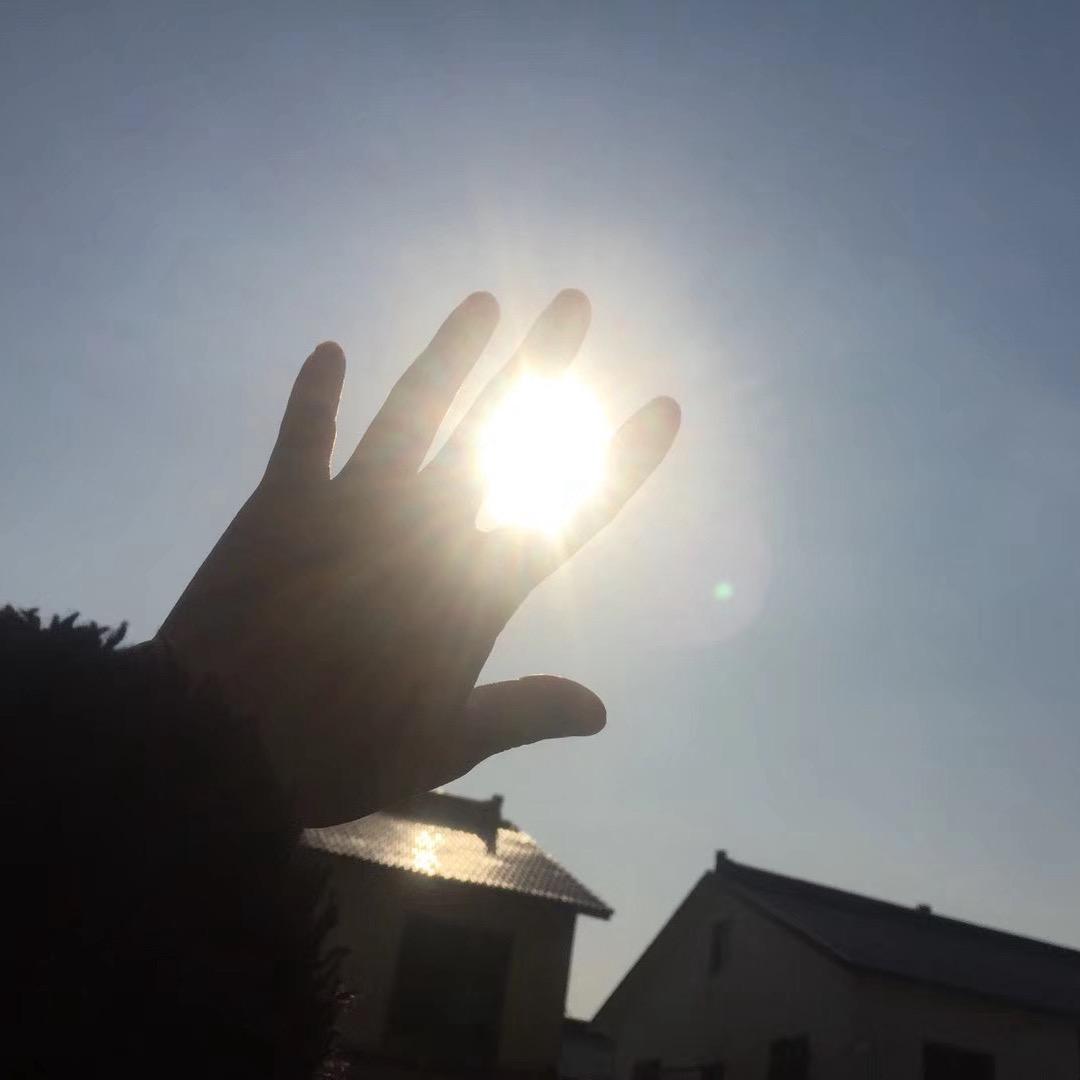 红梅