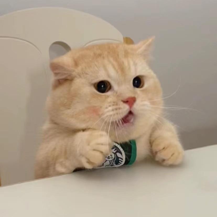 爱笑的小年糕@抖音