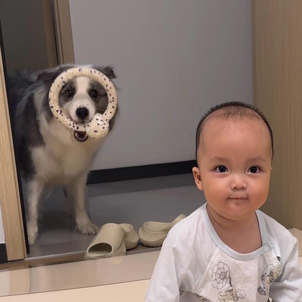 尖尖小狗带娃版