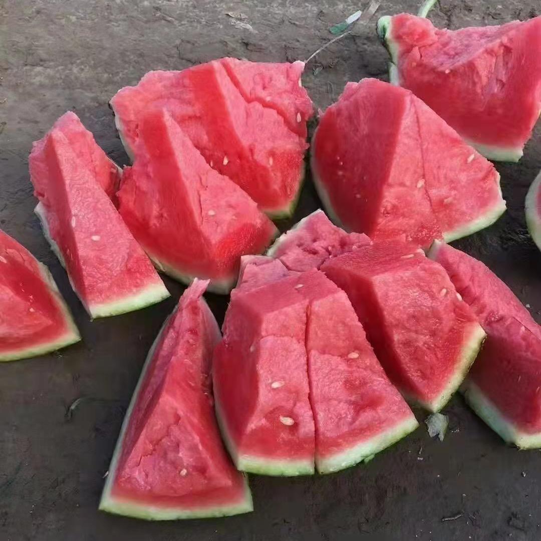 老外西瓜
