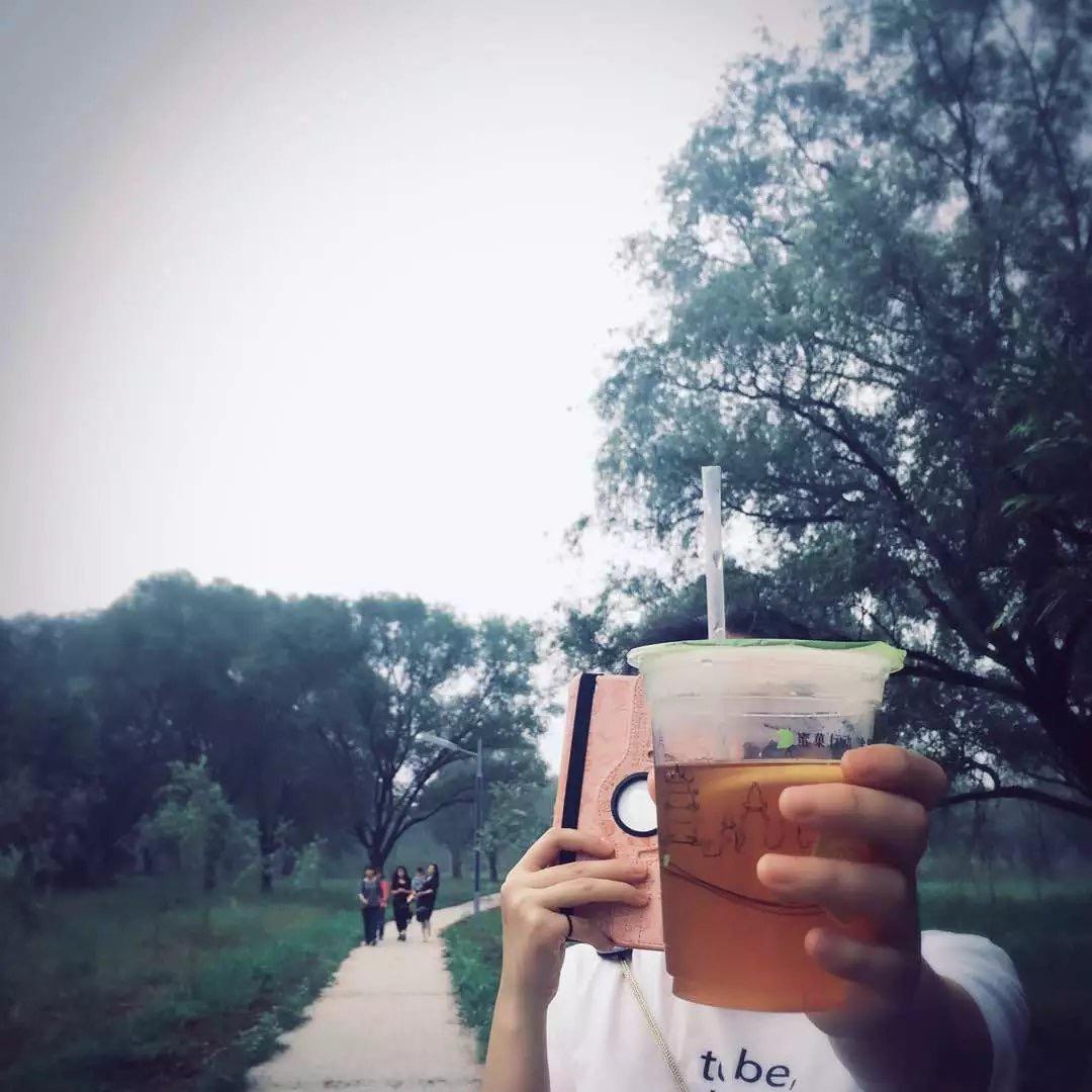 你是不是油饼🫓