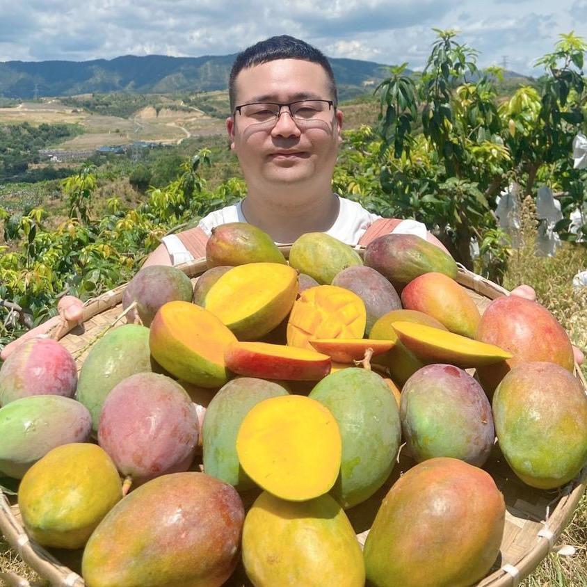 榴小新水果