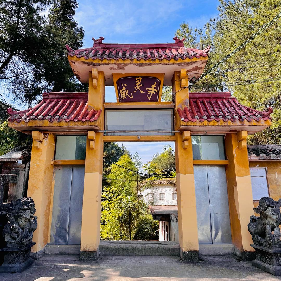 慧觉（临时直播号）