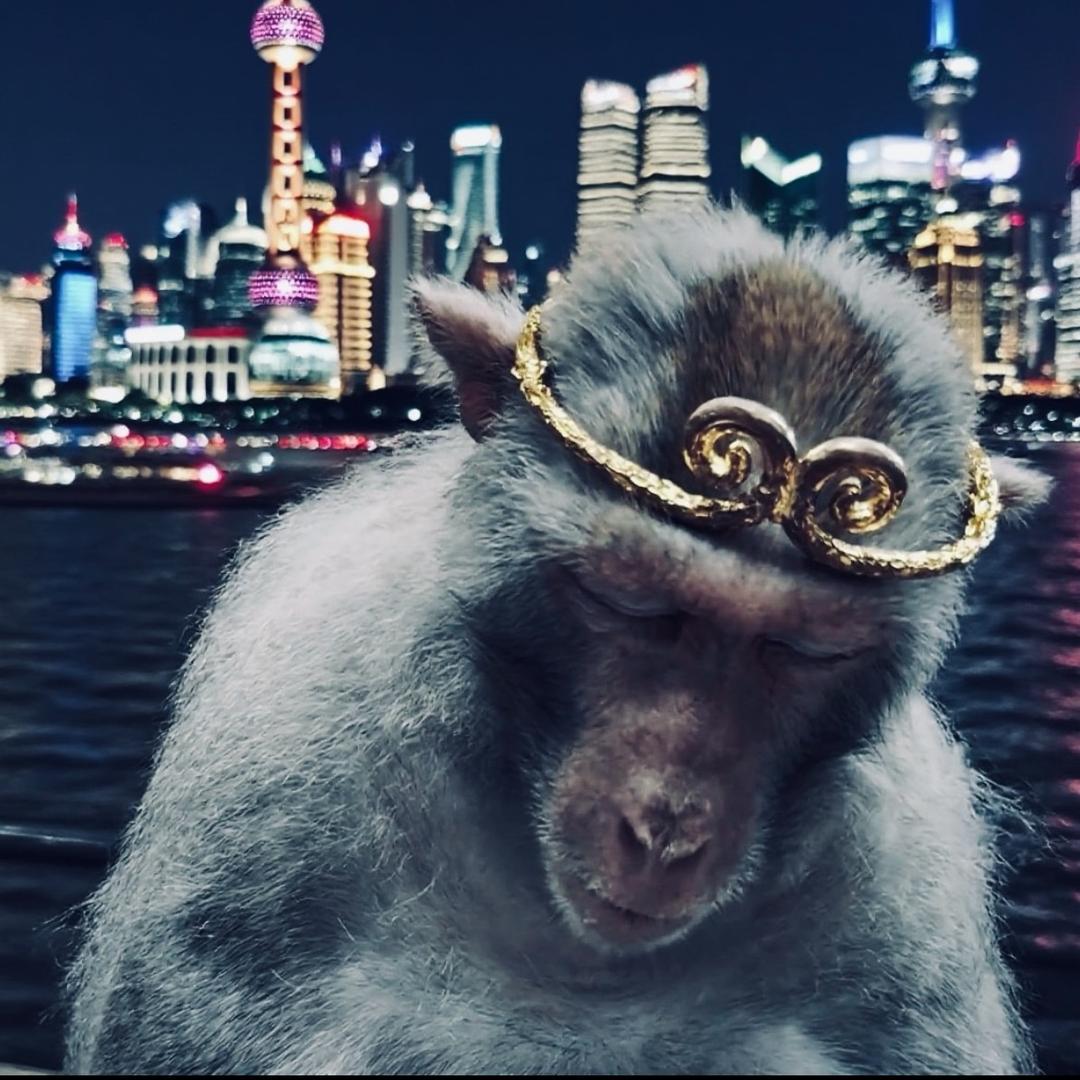 马喽
