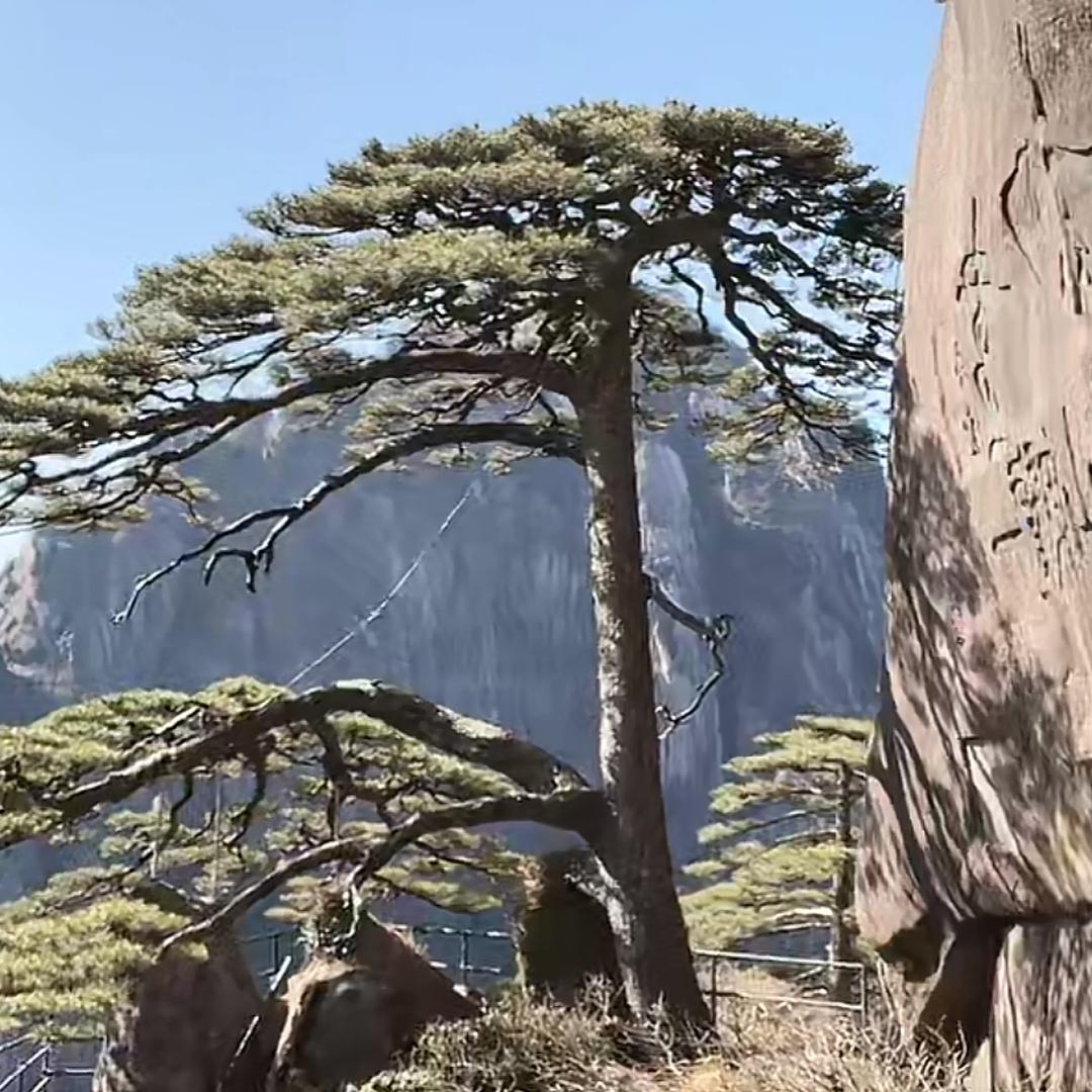 往事只能回味：