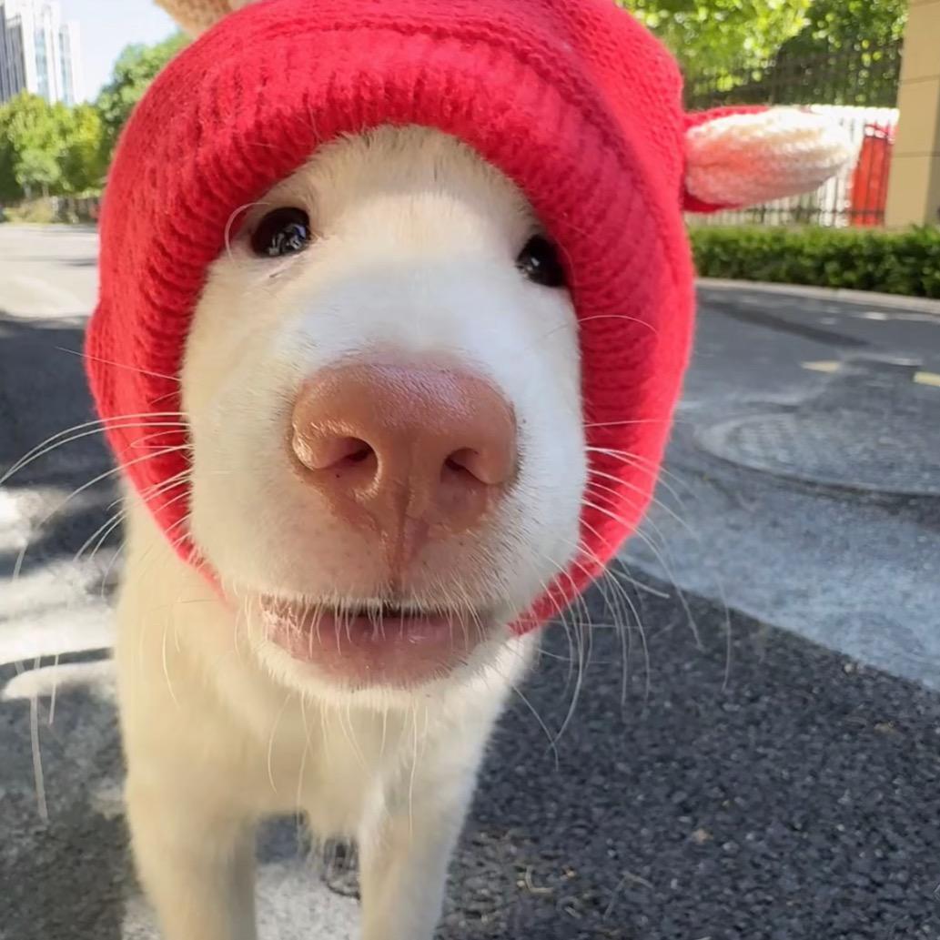 吃碗还不如不见面