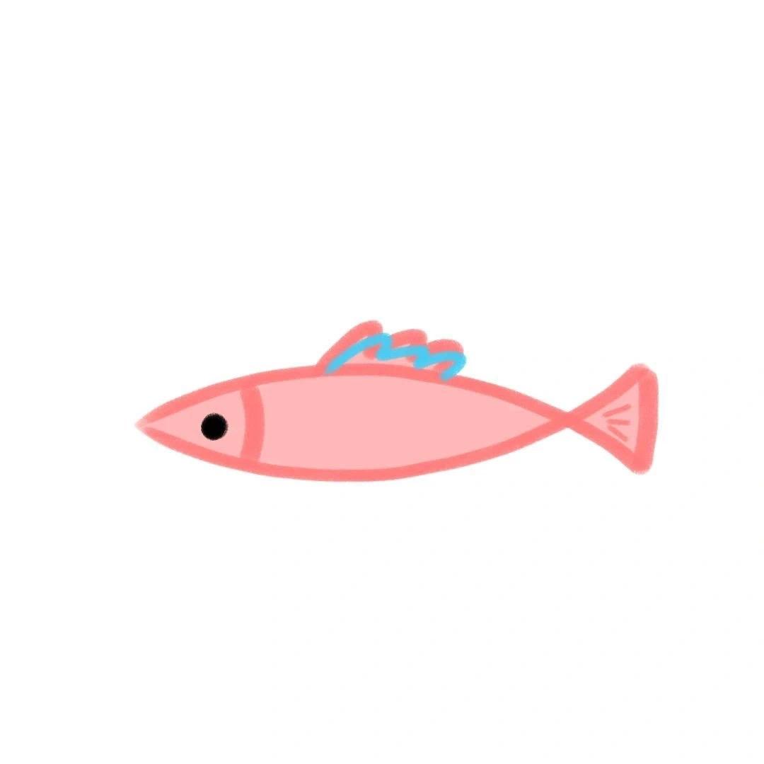 良心魚