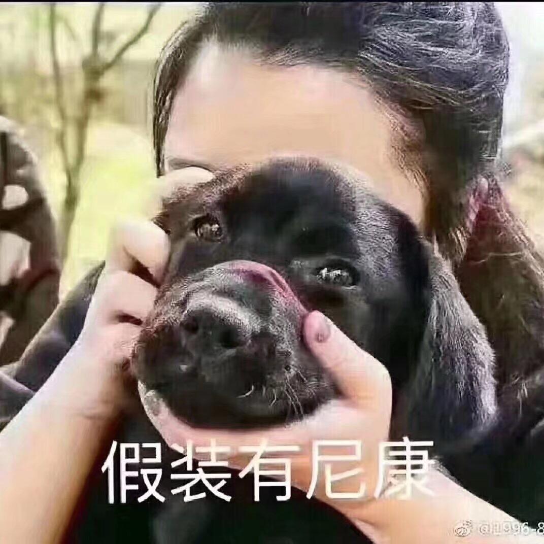 我们是一伙儿的