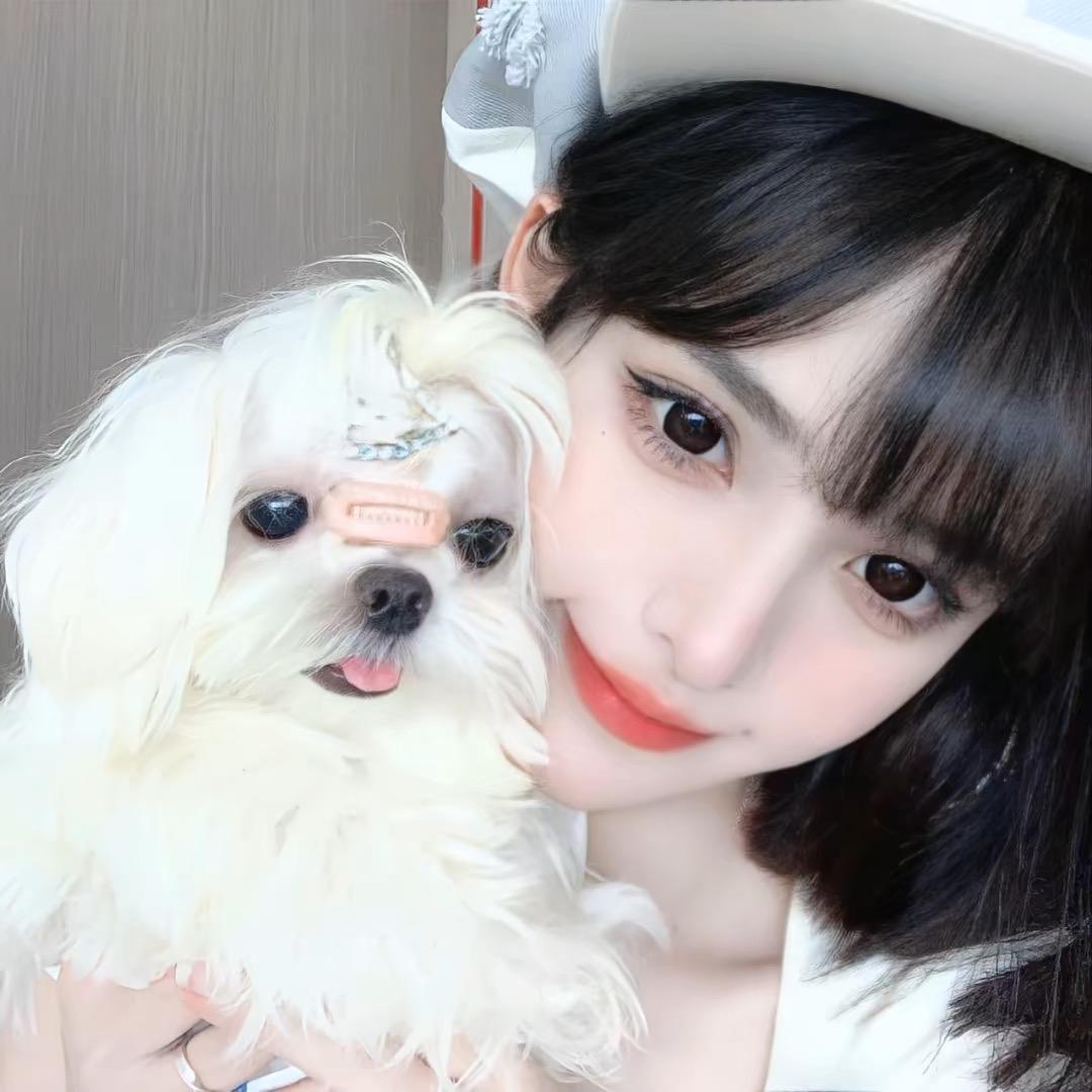 发呆呆鱼.