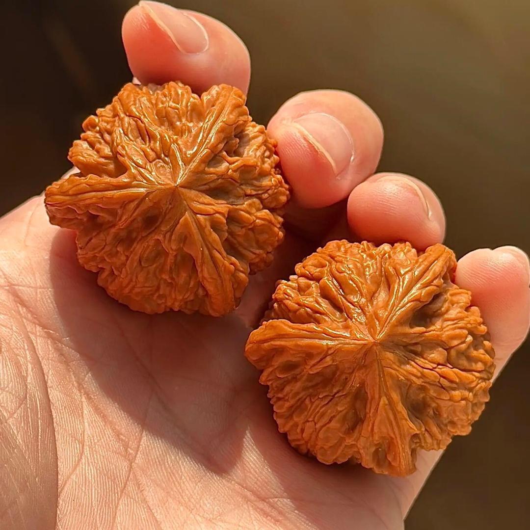 品诺文玩