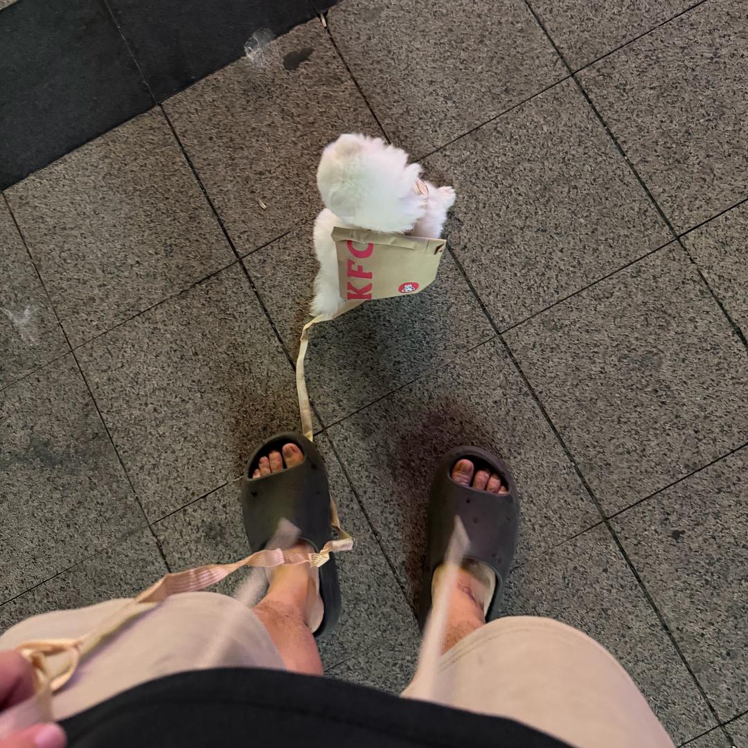泡泡糖