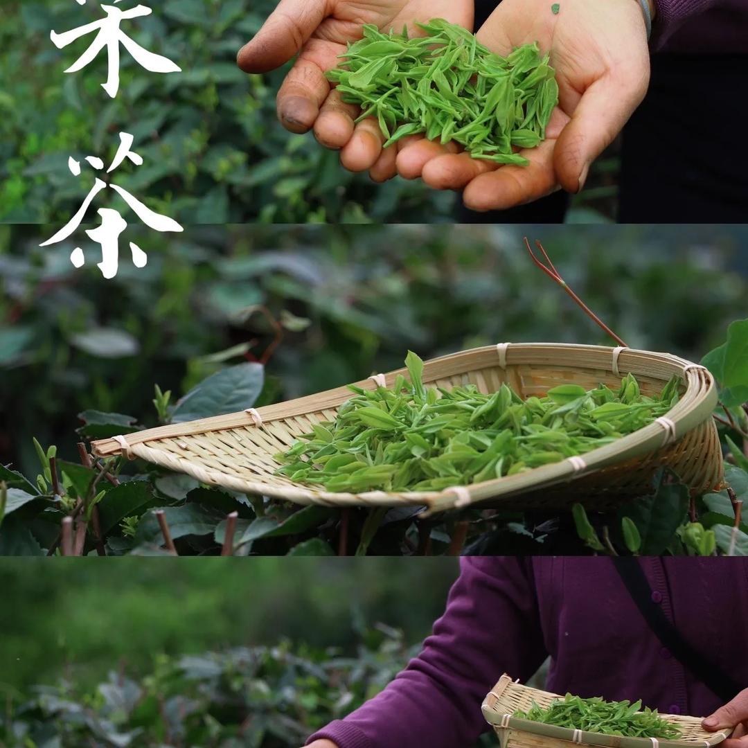 黔程江雪