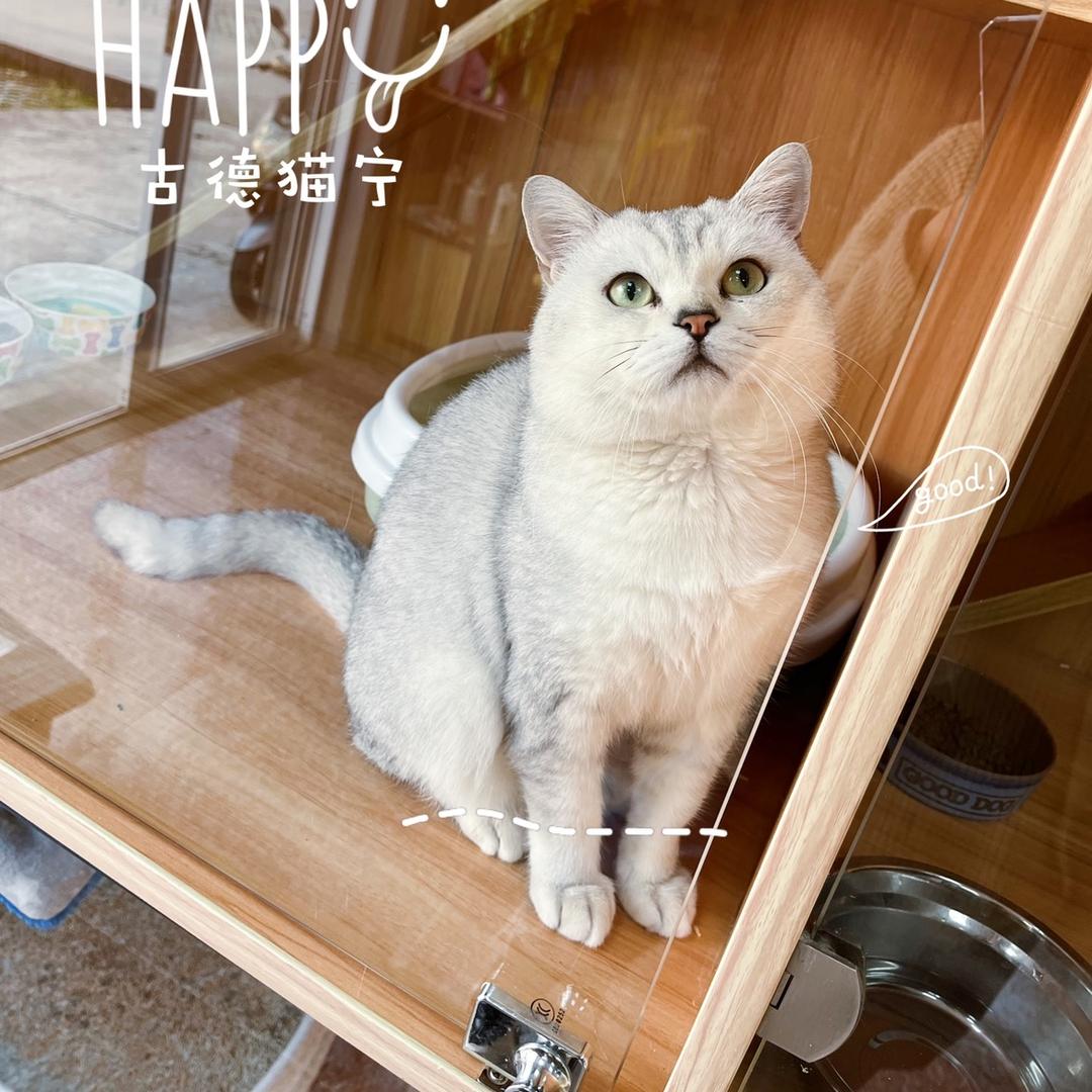 豆小丁的小日常