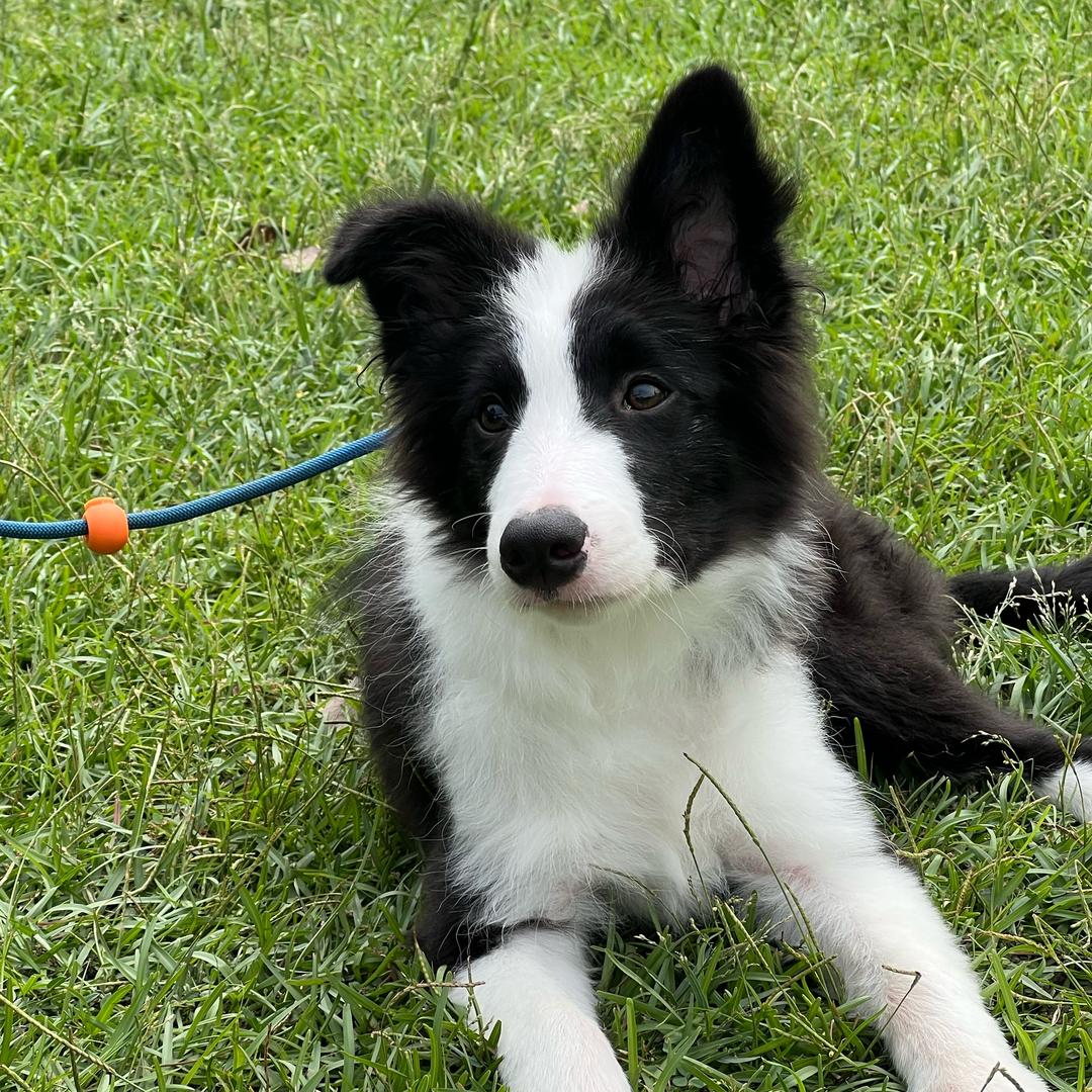 跟着铛铛逛gai去