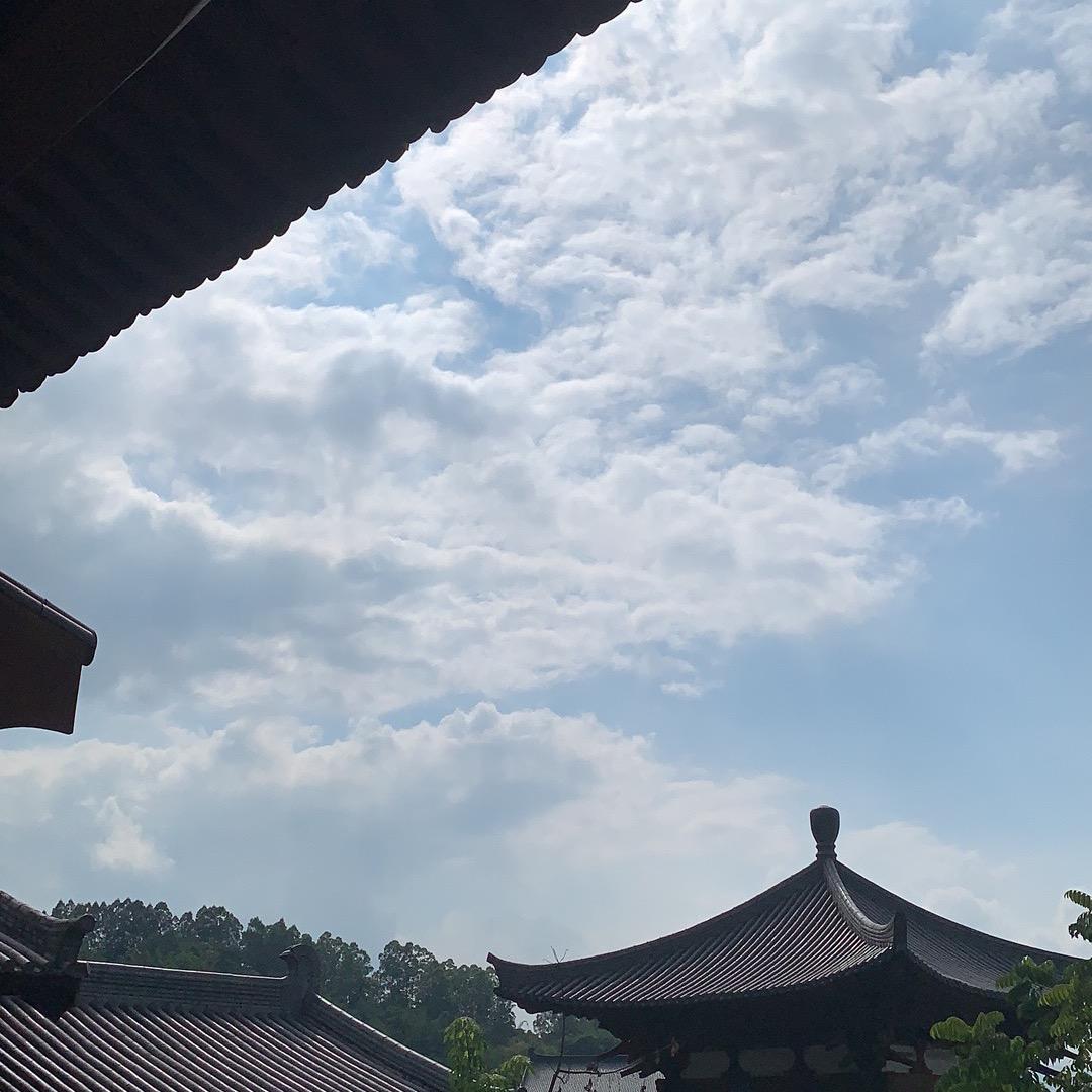 用户8514878038598心若向阳