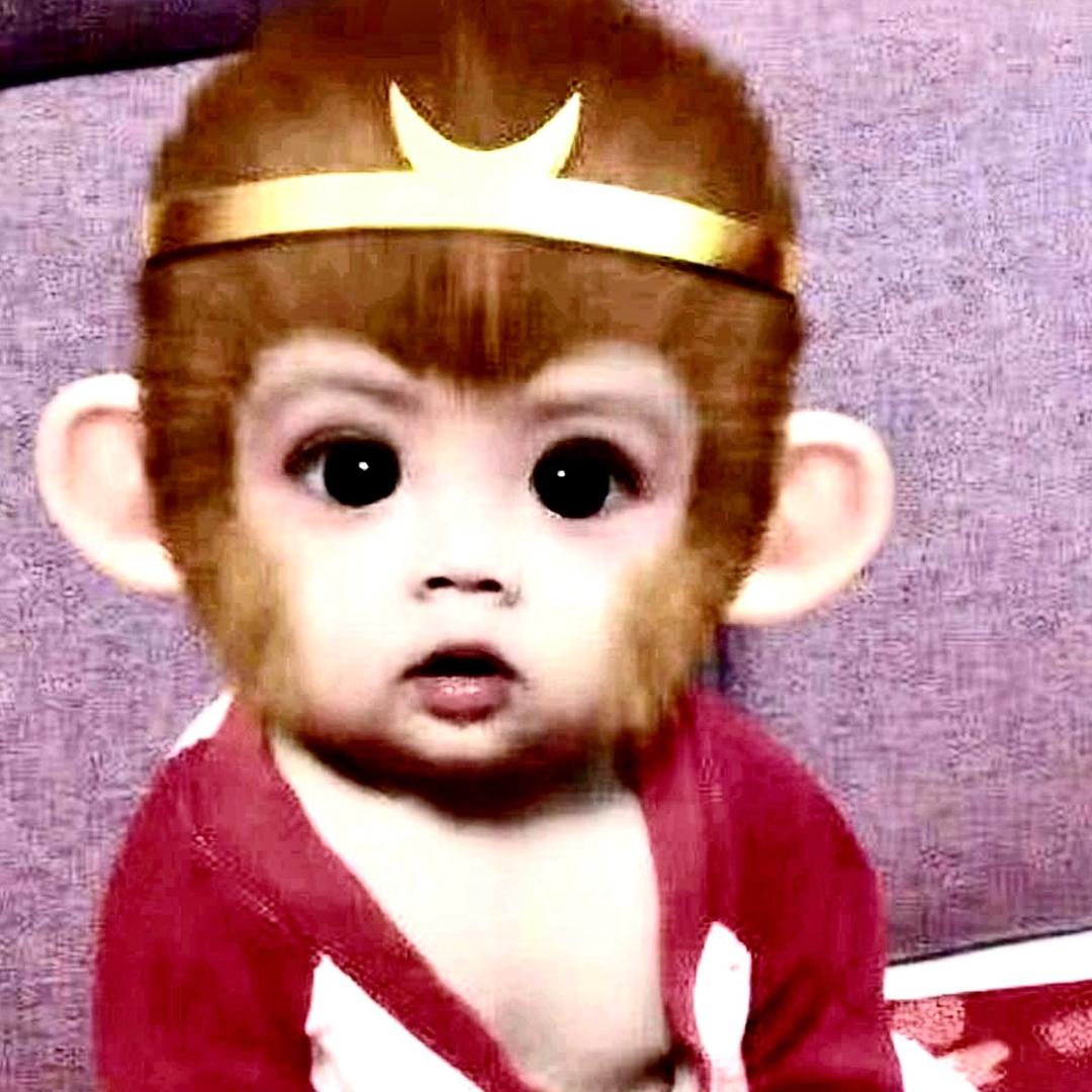 杭州小魔王💫💫💫