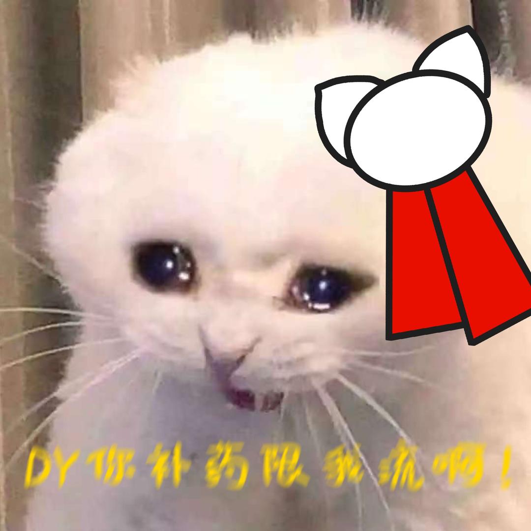 大大的菜包猫（开学断更版）