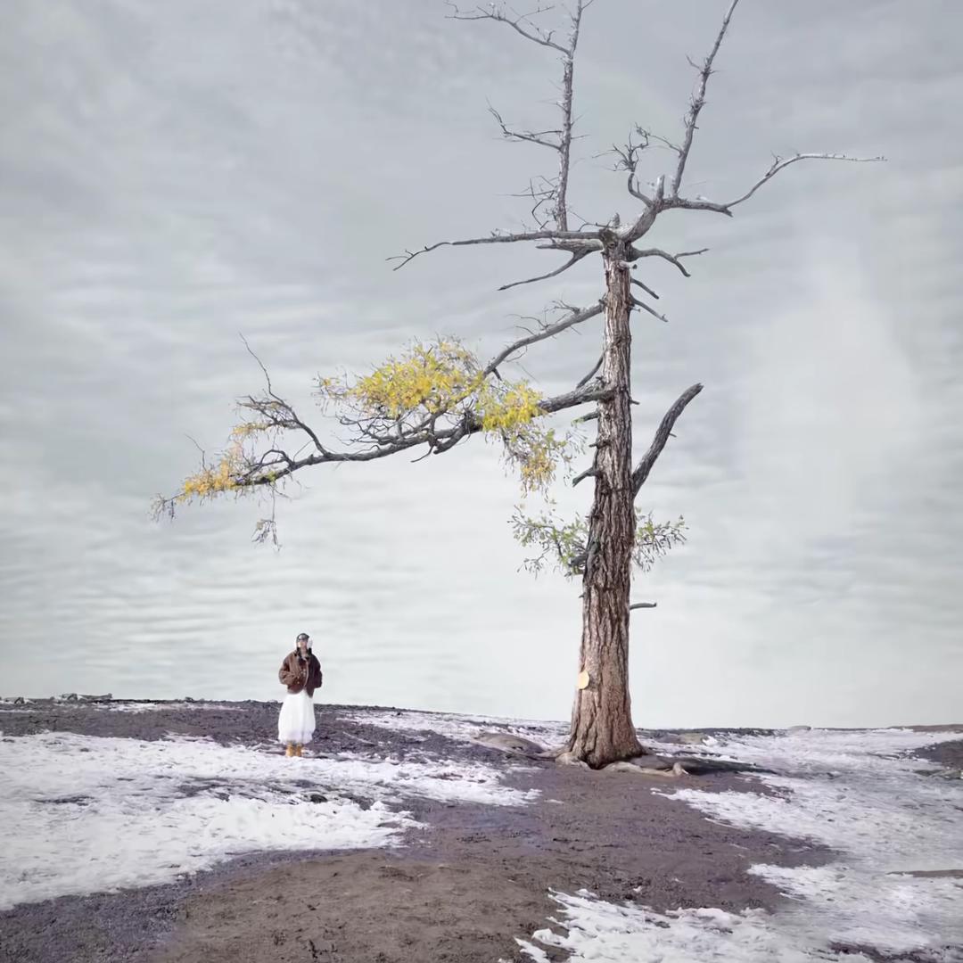 yi  ～萌你一脸😊