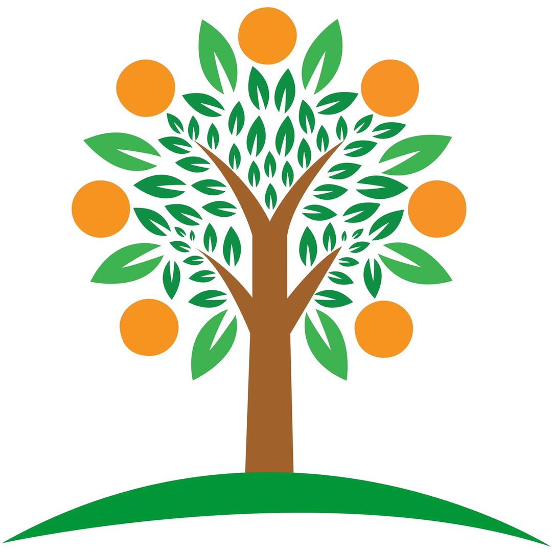 小桔树高端托管（搞笑版）