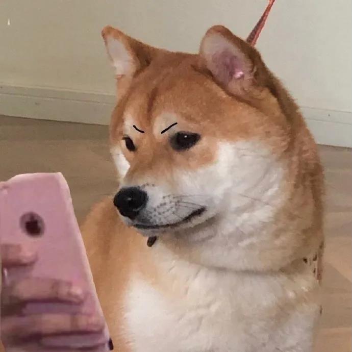 龙娃子