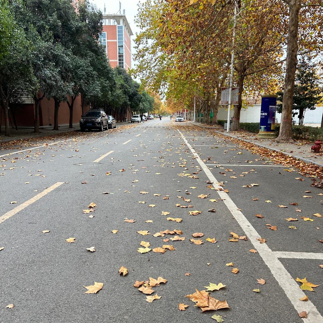 慢点你好好直播号