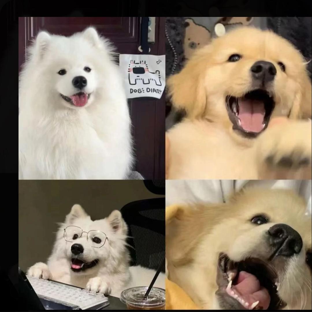 1寻找有缘人