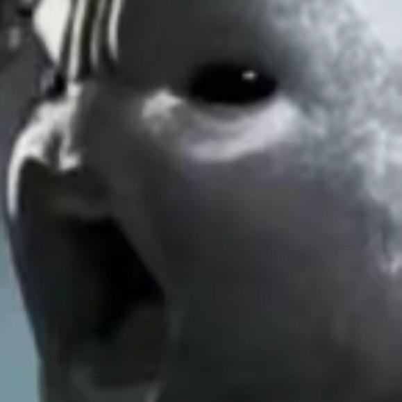 哇哇哇哇哦