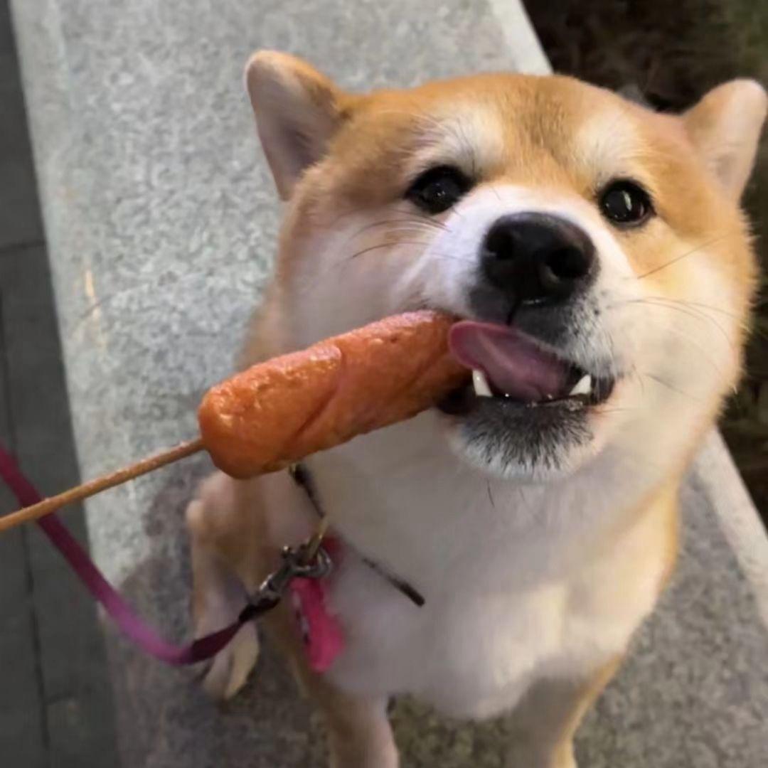 榴莲公主778