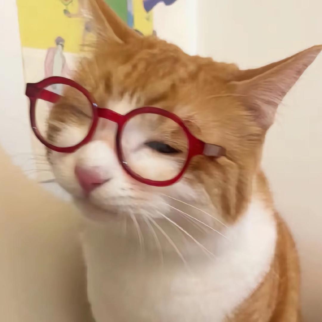 あ头像