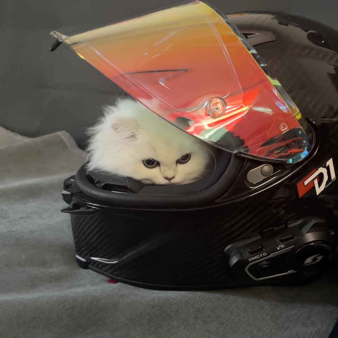 肥 肥 鱼 🔥 º ⁵ ⁷ ⁷